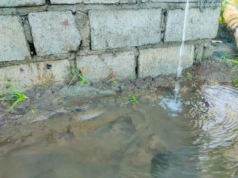 The rice fields are irrigated using pump wells with the technique of pumpin.. Stock Photos