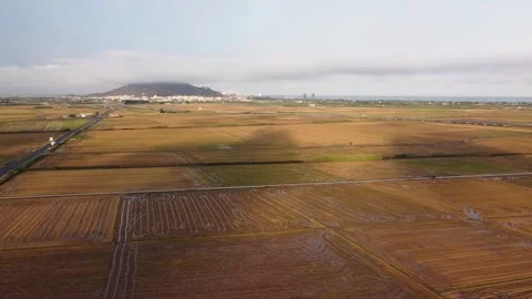 Rice fields in the area of Cullera in the province of Valencia, Spain Stock Footage 255668591