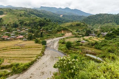 Rice fields in autumn Stock Photos