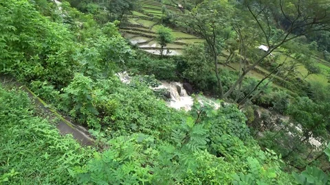 Rice fields bali Stock Footage 92693657