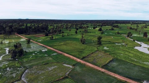 Rice Fields in Cambodia Video stock 93247840