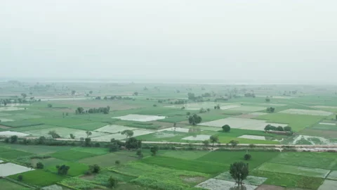 Rice fields cover the rural landscape in Pikistan Stock Footage 162719853