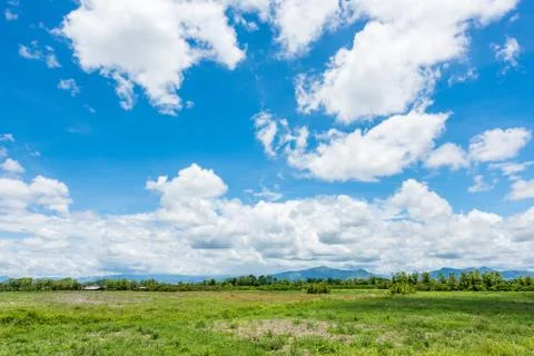 Rice Fields before farming with blue sky Fotos Stock