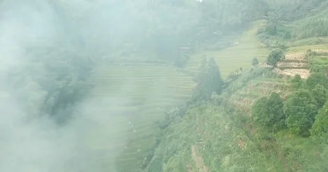 Rice Fields in Fire Video stock 70103185