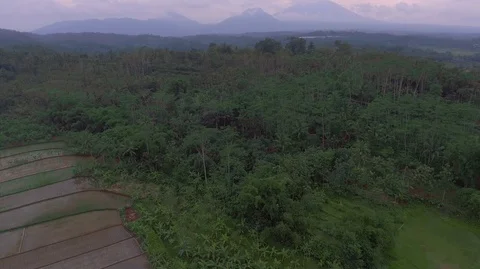 Rice fields at the foot of the mountain Stock Footage 129349888