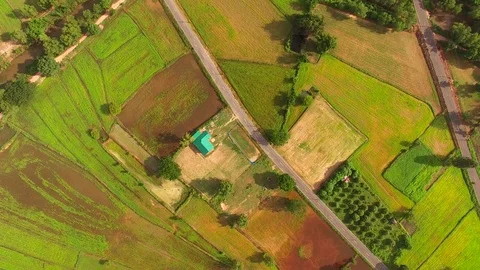 Rice fields 動画素材 79677737