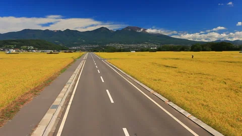 The Rice Fields of Gorohei's Koshihikari, Mount Asama, and the Road Stock Footage 330370797