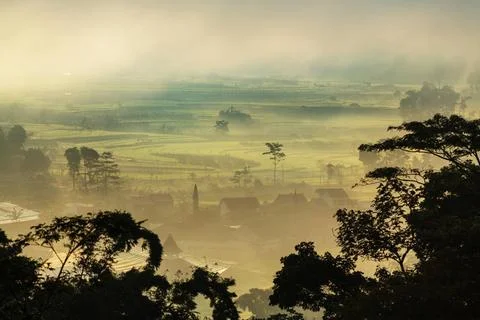 Rice fields Green Rice fields in Java island, Indonesia Copyright: xZoonar... Fotos de archivo