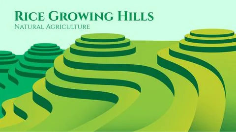 Rice Fields on High Hills Illustration Design Stock Illustration