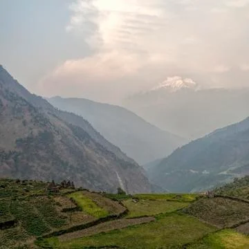 Rice fields in himalaya Stock Photos