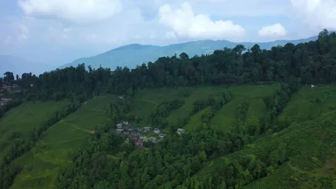 Rice Fields In The Himalayan Mountan Chain Stock Footage 133336810