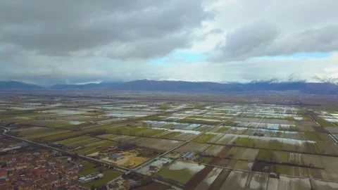 Rice fields in Italy Stock Footage 114803464