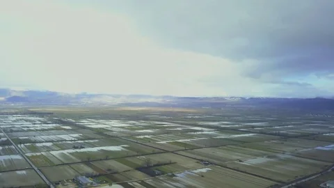 Rice fields in Italy Stock Footage 114803575