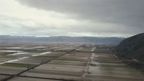 Rice fields in Italy Stock Footage 114803807
