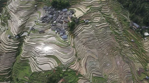Rice fields of Jiabang - 加榜梯田 Version 2 Stock Footage 242399074