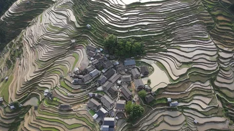 Rice fields of Jiabang - 加榜梯田 Version 4 Stock Footage 242399060