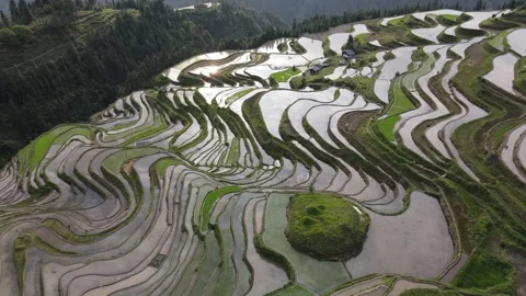 Rice fields of Jiabang - 加榜梯田 Version 5 Stock Footage 242398899