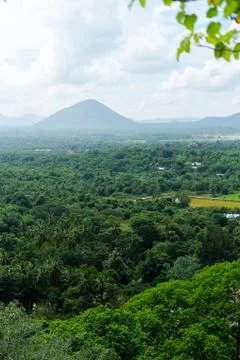 Rice Fields of knuckles mountain range, Sri Lanka Stock Photos