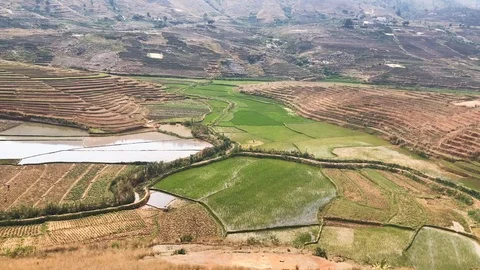 Rice fields madagascar Stock Footage 101182489