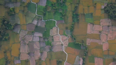 Rice fields in Mekong Delta, Tri Ton Ta Pa, An Giang province, Vietnam Stock-Footage 327214009