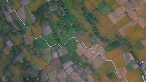 Rice fields in Mekong Delta, Tri Ton Ta Pa, An Giang province, Vietnam Video stock 327214286