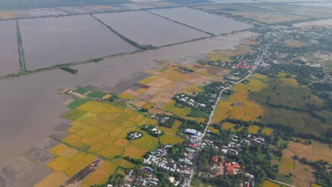 Rice fields in Mekong Delta, Tri Ton Ta Pa, An Giang province, Vietnam Video stock 327215951