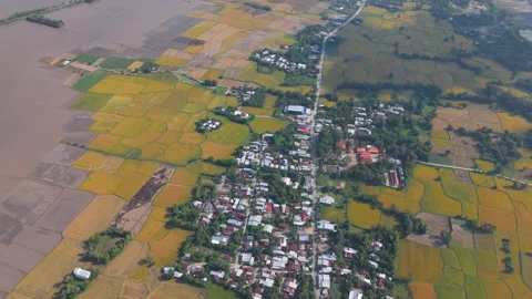 Rice fields in Mekong Delta, Tri Ton Ta Pa, An Giang province, Vietnam Video stock 327216232