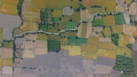 Rice fields in Mekong Delta, Tri Ton Ta Pa, An Giang province, Vietnam Stock-Footage 327216489