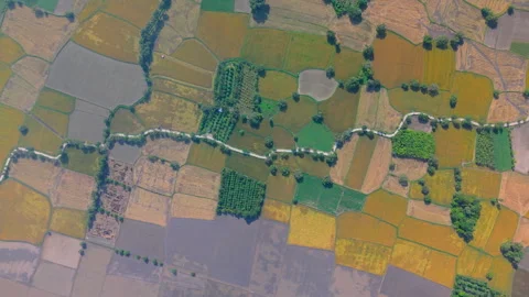 Rice fields in Mekong Delta, Tri Ton Ta Pa, An Giang province, Vietnam Video stock 327216682