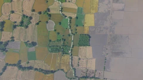 Rice fields in Mekong Delta, Tri Ton Ta Pa, An Giang province, Vietnam Stock-Footage 327216706