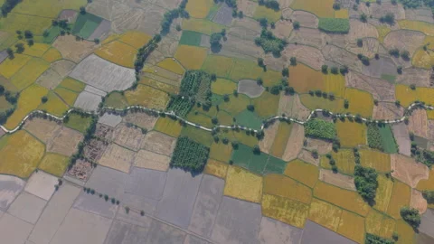 Rice fields in Mekong Delta, Tri Ton Ta Pa, An Giang province, Vietnam Stock-Footage 327216826