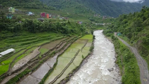 Rice fields with the mountain river in NEPAL, Aerial drone view Stock Footage 155962251