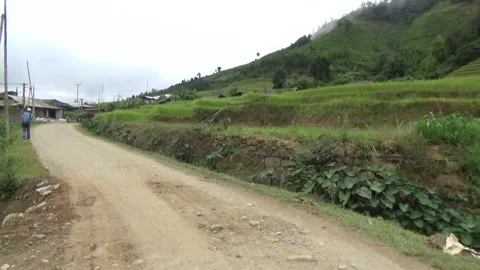 Rice fields in the mountain of Vietnam Video stock 320159554