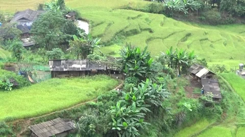 Rice fields in the mountain of Vietnam Stock Footage 320162867