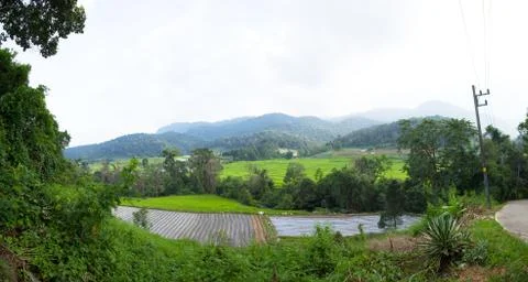 Rice fields in the mountains Stock Photos