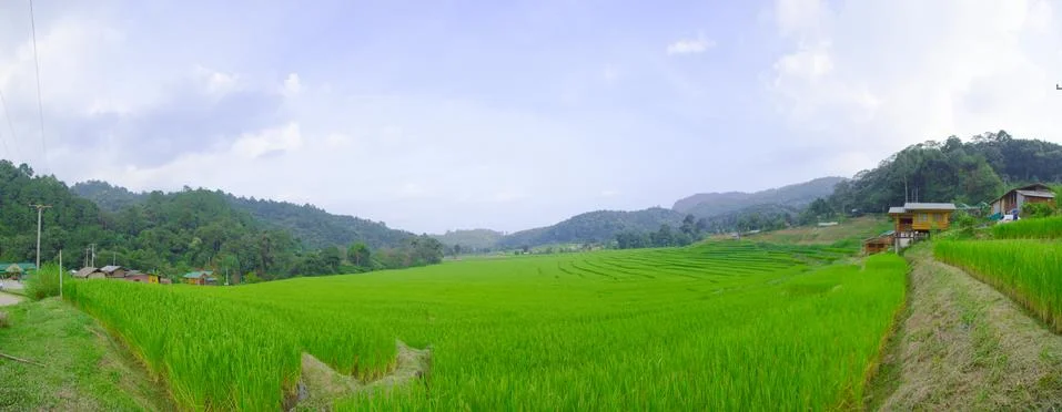 Rice fields in the mountains Stock Photos