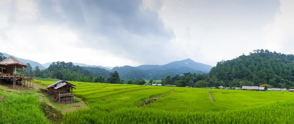 Rice fields in the mountains Stock Photos