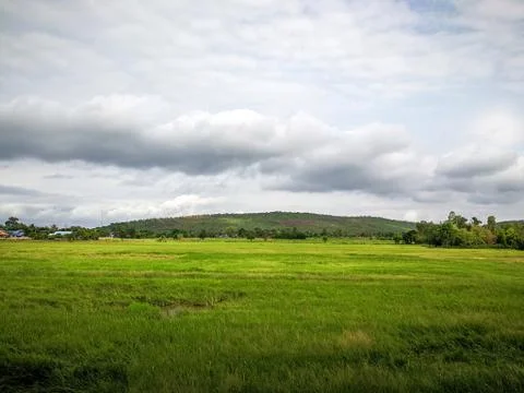 Rice fields with mountains Stock Photos