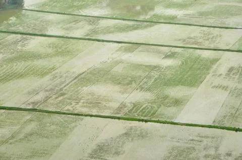 Rice fields in Ninh Binh Stock Photos