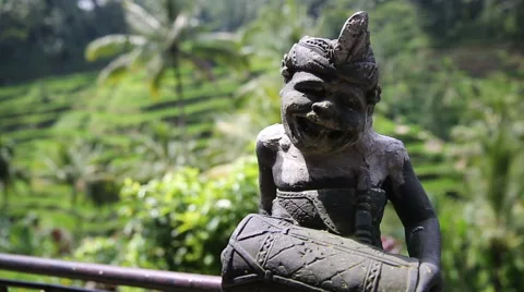 Rice fields, Padi Terrace, Ubud, Bali, Indonesia Stock Footage 62922766