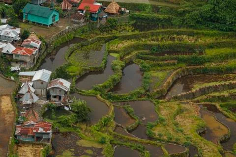 Rice fields-philippines Stock Photos