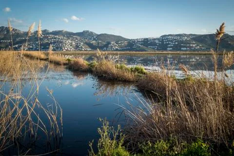 Rice fields 스톡 사진