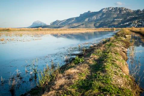 Rice fields Stock Photos