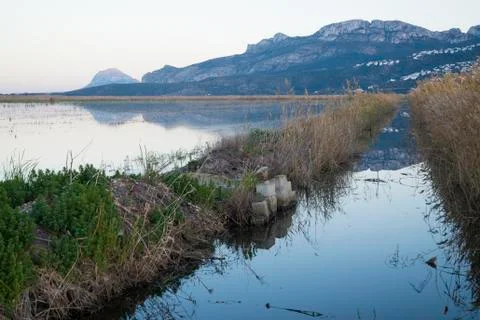 Rice fields Stock Photos