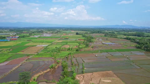 Rice fields in Purbalingga regency, Java island, Indonesia, to Baturraden Stock Footage 341702962