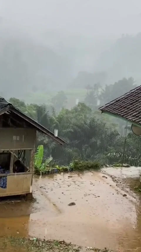 Rice fields ready for planting Stock Footage 308299731