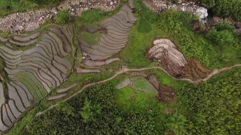 Rice fields in Sapa, Vietnam Видео 114411099