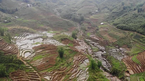 Rice fields in Sapa, Vietnam Stock Footage 114411227