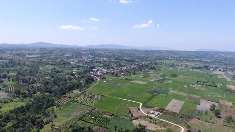 Rice fields on the summit of Sumatra Stock Footage 93417149