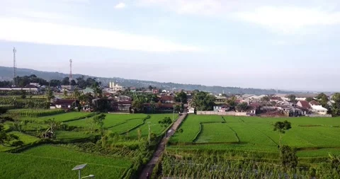 Rice fields at sunrise in West Java, Indonesia Video stock 272625203